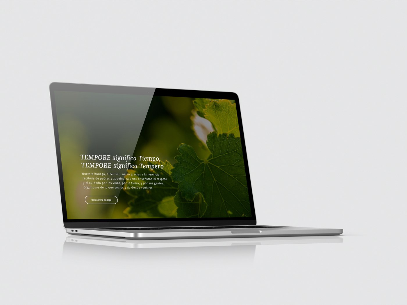 Pagina web Bodegas Tempore