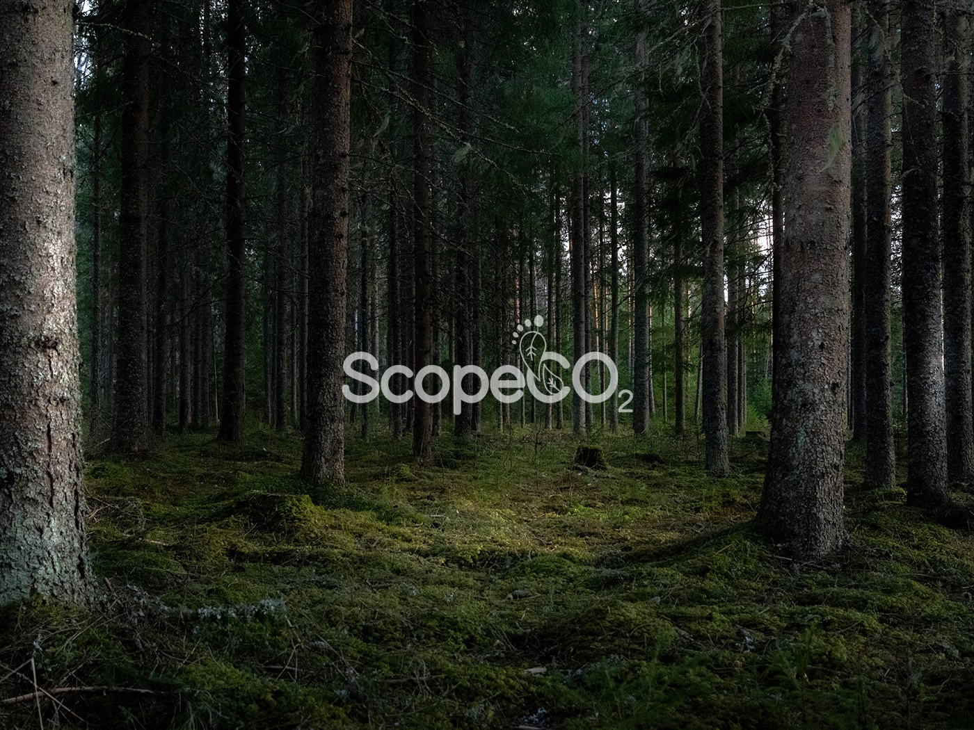 Scope CO2 Herramienta