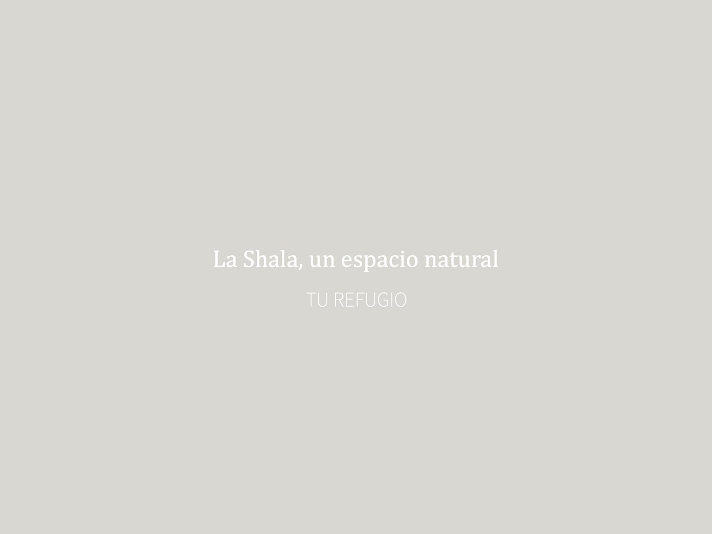Yoga shala Donostia